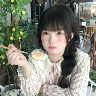 公园里的石头